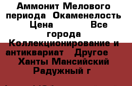 Аммонит Мелового периода. Окаменелость. › Цена ­ 2 800 - Все города Коллекционирование и антиквариат » Другое   . Ханты-Мансийский,Радужный г.